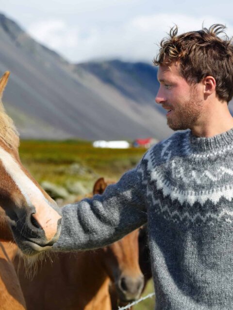 The Icelandic Horse: A Comprehensive Guide to Iceland’s Beloved Equine 1 What makes Icelandic horses so special