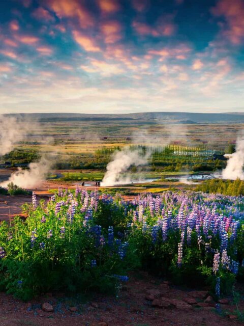 shutterstock 458404234 e1498385396385