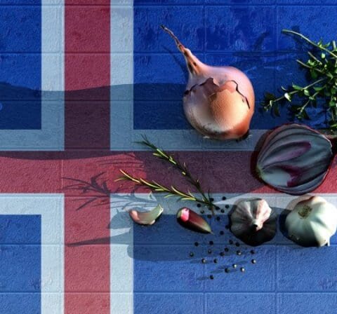 Icelandic Food
