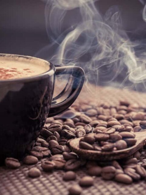 shutterstock 203392858 e1518509437188