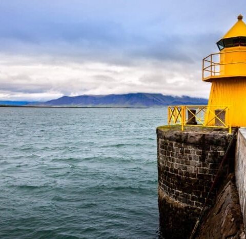 shutterstock 210092191 e1518020039745