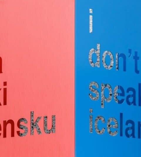 Icelandic Language