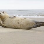 shutterstock 753462571 e1519715238724