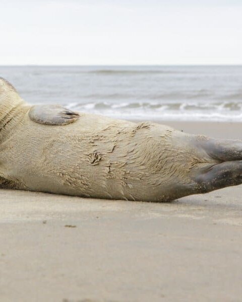 shutterstock 753462571 e1519715238724