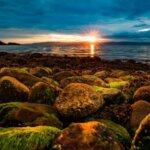 shutterstock 552190324 e1520846806155