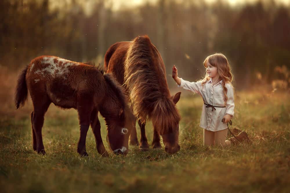Little girl petting a horse