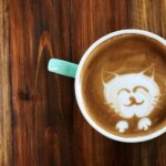 shutterstock 726687187 e1523125068553