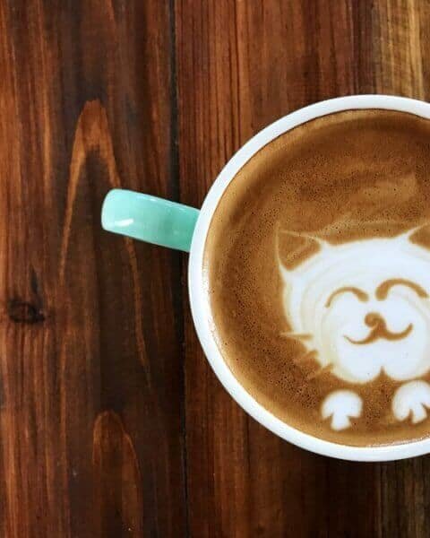 shutterstock 726687187 e1523125068553