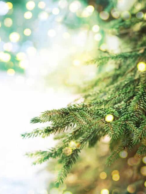 Iceland's Yule Lads are a favorite Christmas tradition