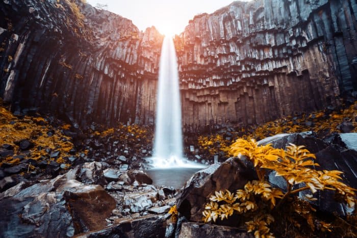 Must See Attractions in Vatnajökull National Park - Part One 3 Svartifoss in Skaftafell is one of the best things to do in Vatnajökull National Park