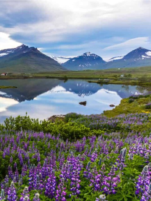 Sustainable tourism in Iceland protects our natural beauty