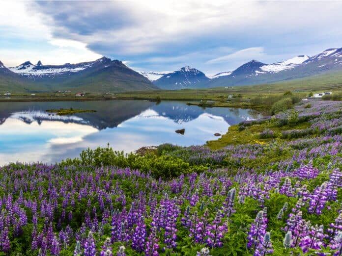 Sustainable tourism in Iceland protects our natural beauty
