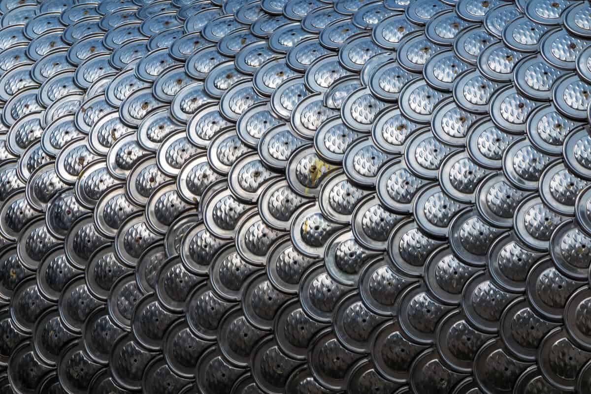 Hunting Dragons in Iceland - Lake Lagarfljót and Beyond 2 Hunting dragons in Iceland - are they real?