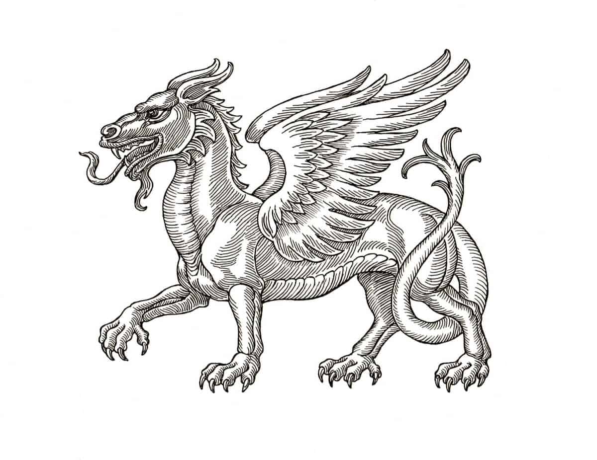 Фантастические твари эмблема дракона