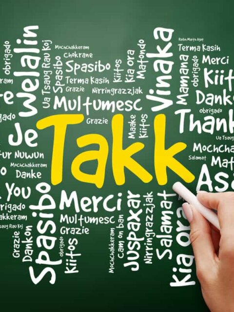 Takk means thank you in Icelandic