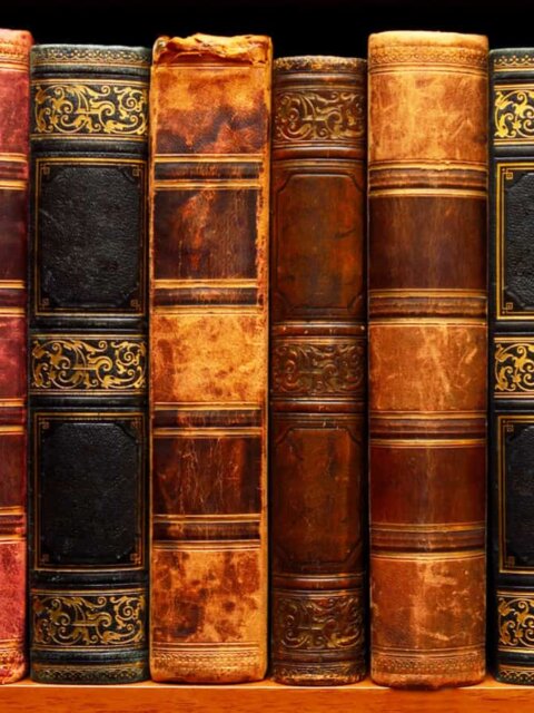 The Icelandic Sagas tell the history of Vikings like Ragnar Lothbrok