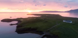 Videy island at sunset