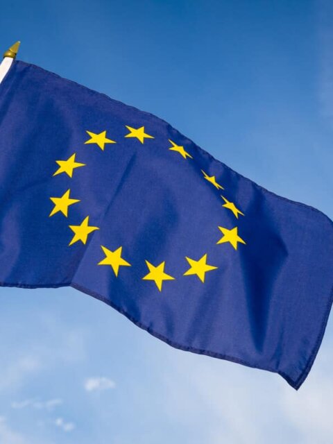 Iceland EU member flag