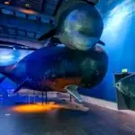 Best museums in Reykjavik