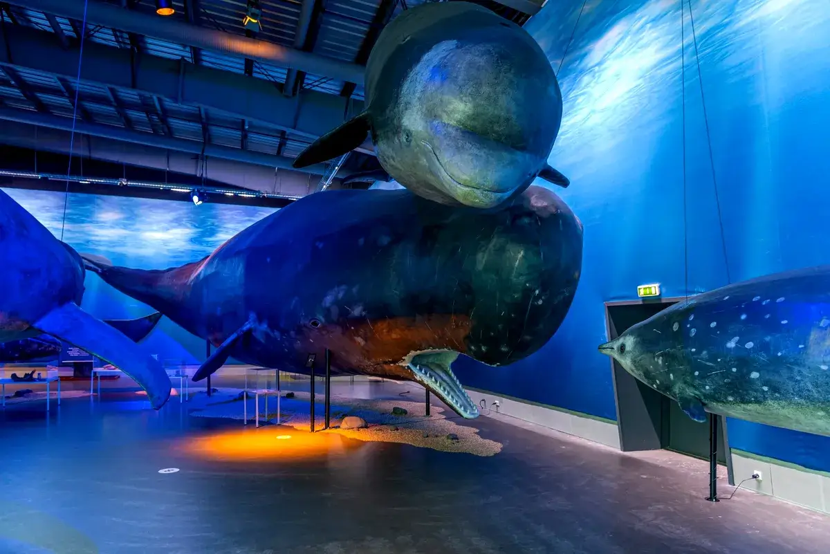 Best museums in Reykjavik